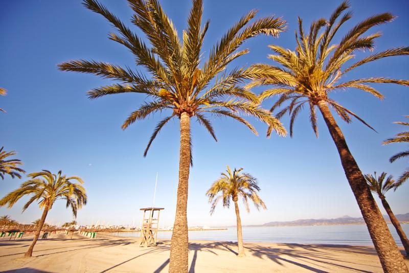 Hotel Sahara Nubia Gobi Bay El Arenal  Ngoại thất bức ảnh